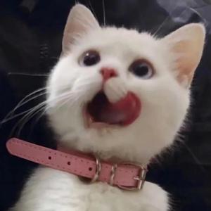 亚洲一区2区三区4区5区
